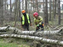 Szkolenie w postaci ćwiczeń w terenie z zakresu usuwania drzew niebezpiecznych