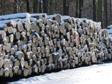 Drewno. Jest bliżej, niż myślisz. Każdego dnia.