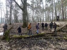 Wiosenny spacer po lesie