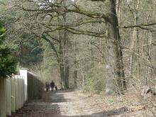 Spotkanie Zespołu Lokalnej Współpracy